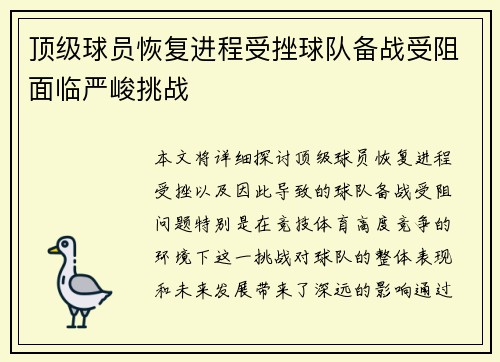 顶级球员恢复进程受挫球队备战受阻面临严峻挑战