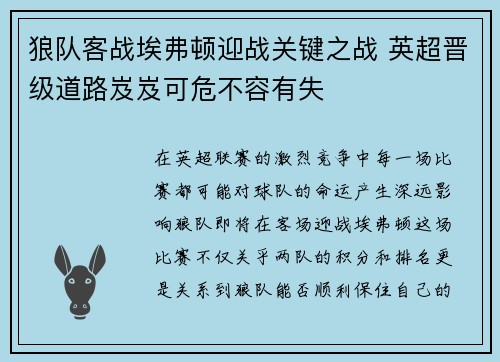 狼队客战埃弗顿迎战关键之战 英超晋级道路岌岌可危不容有失