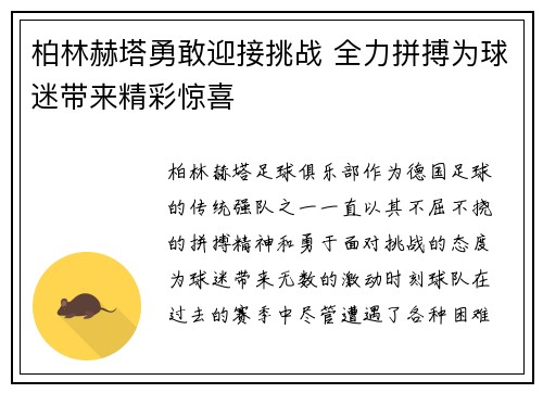 柏林赫塔勇敢迎接挑战 全力拼搏为球迷带来精彩惊喜