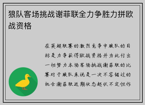 狼队客场挑战谢菲联全力争胜力拼欧战资格